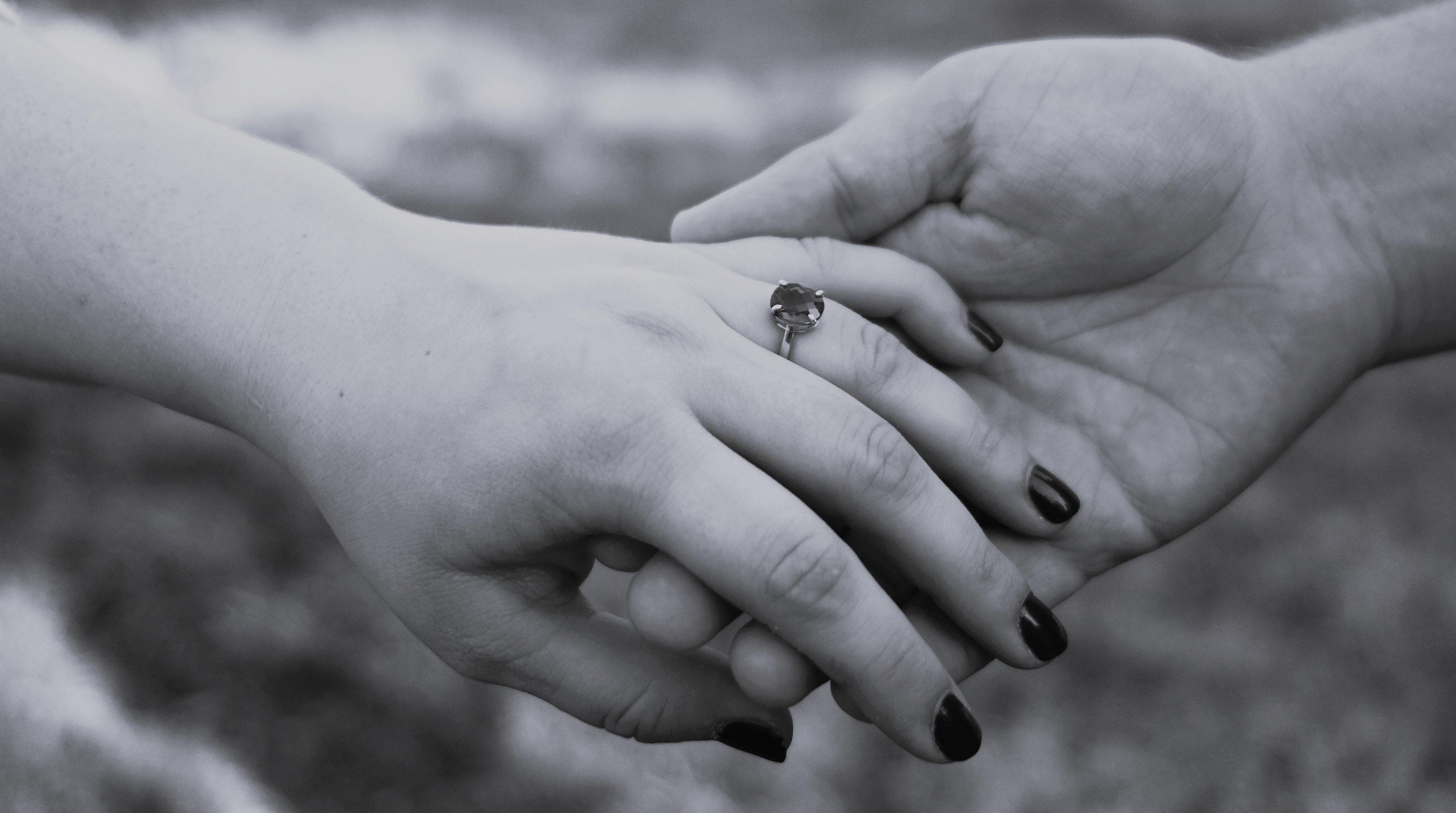 The Wedding Website of Julia Stiles and Samuel Sterrett