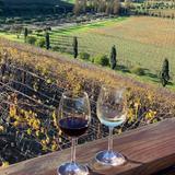 Napa Valley