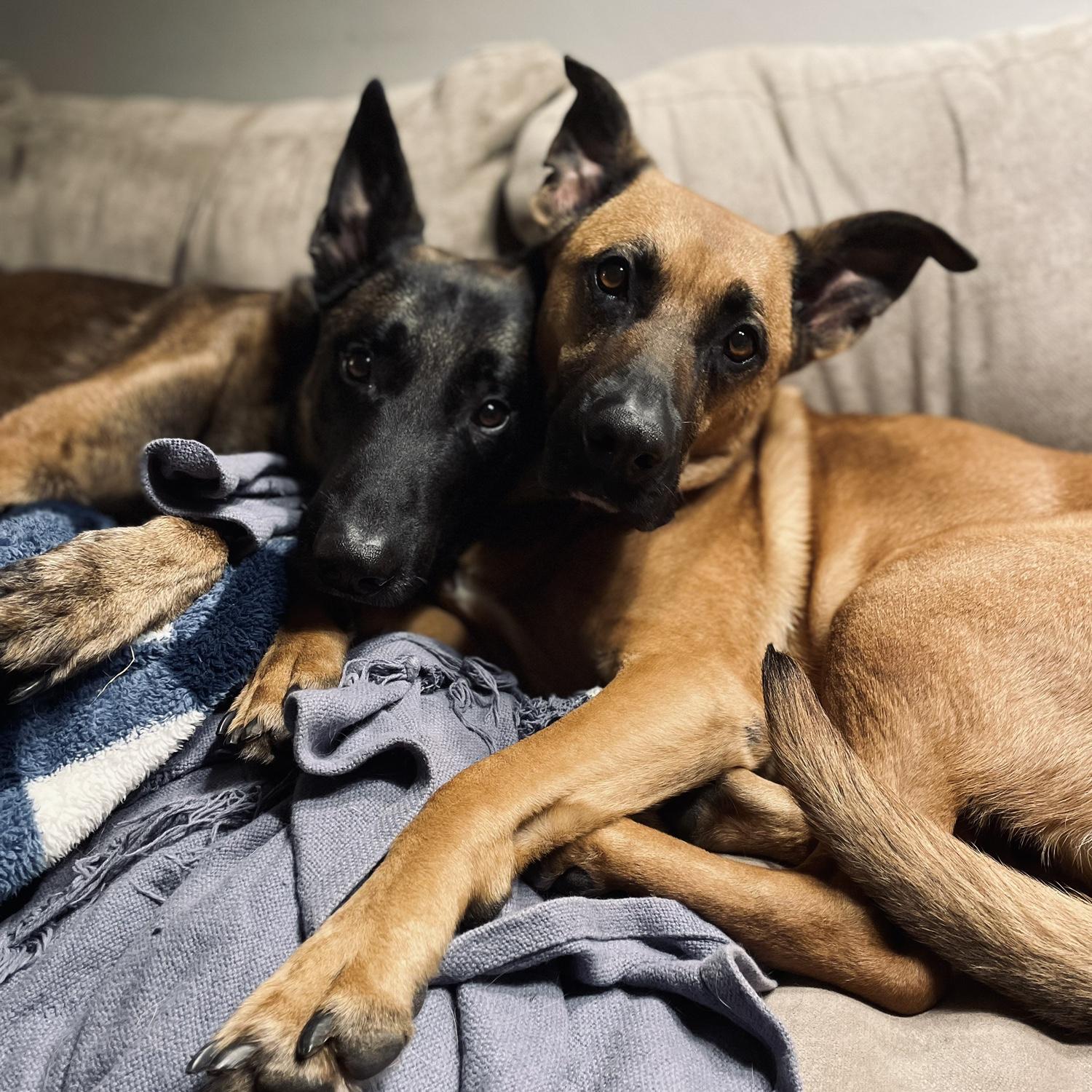 Our boys❤️