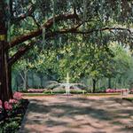 Forsyth Park