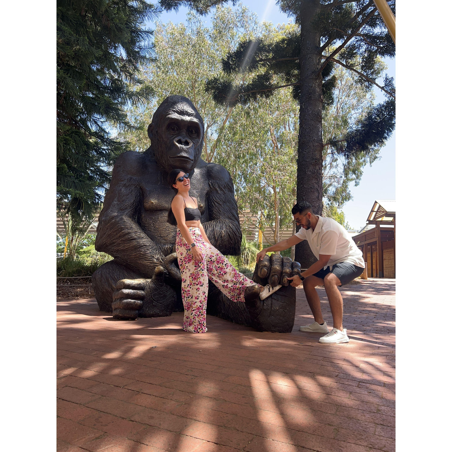 Salvándola de King Kong 🤪