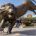 San Diego Zoo