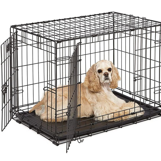 MidWest Homes for Pets Dog Crate | iCrate Single Door & Double Door Folding Metal Dog Crates | Fully Equipped