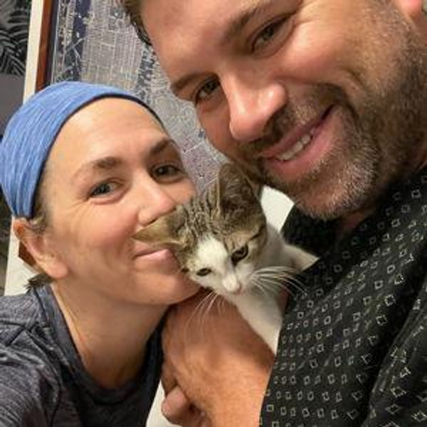 Non-Profit Donation: Cat Rescue