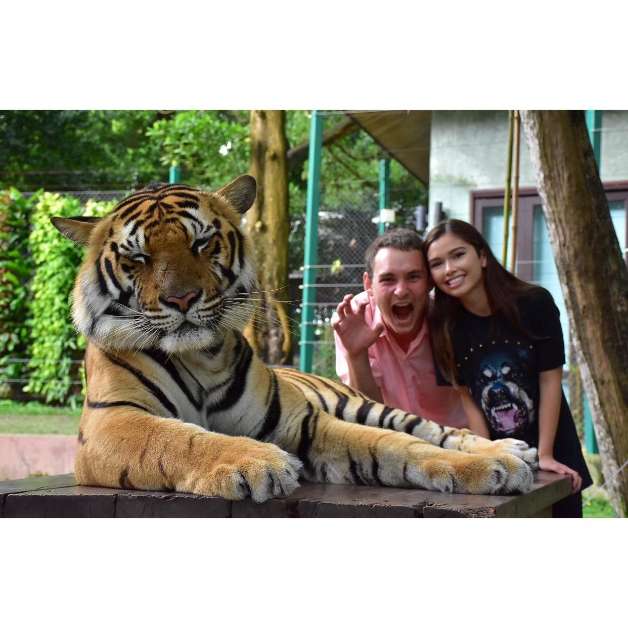 Phuket, Thailand, 2016