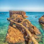 Berlenga's Island