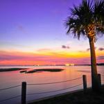 Pitt Street Bridge
