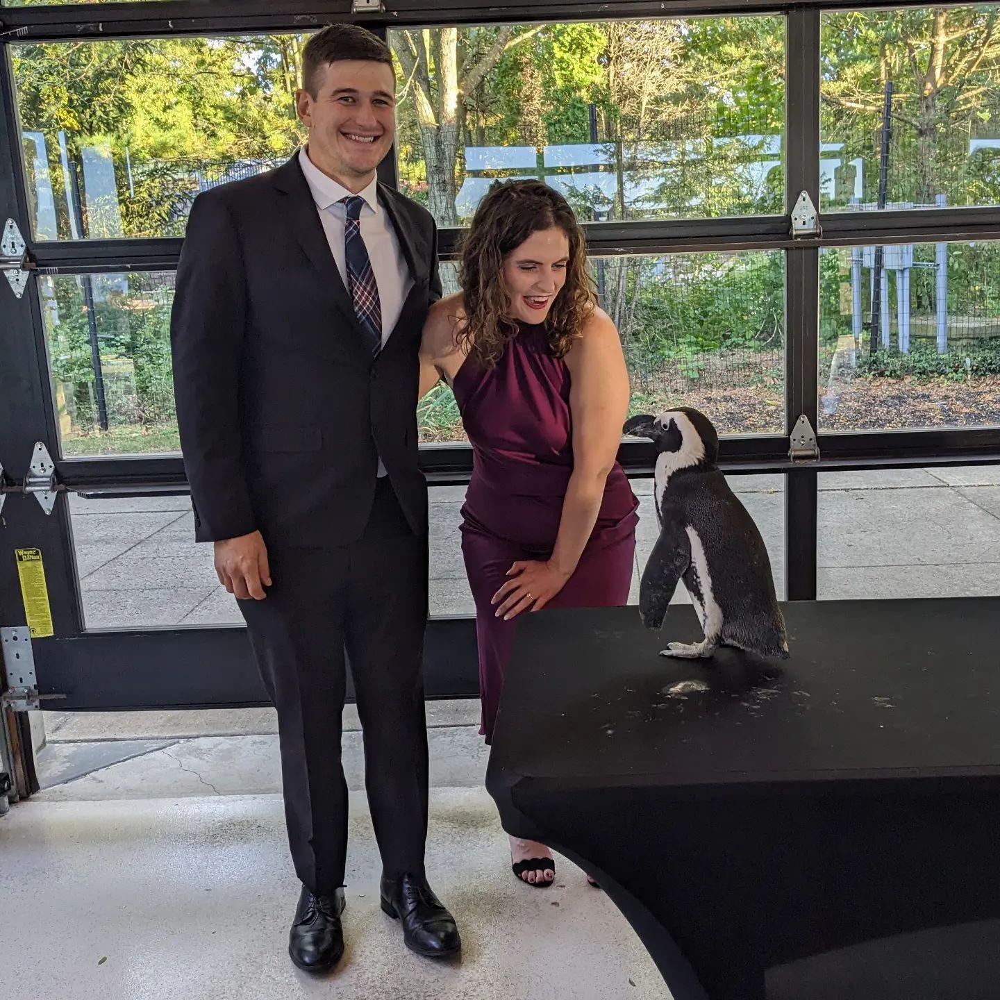 Penguin friends from The Hanrahan-Klisiwiecz wedding at Columbus Zoo!