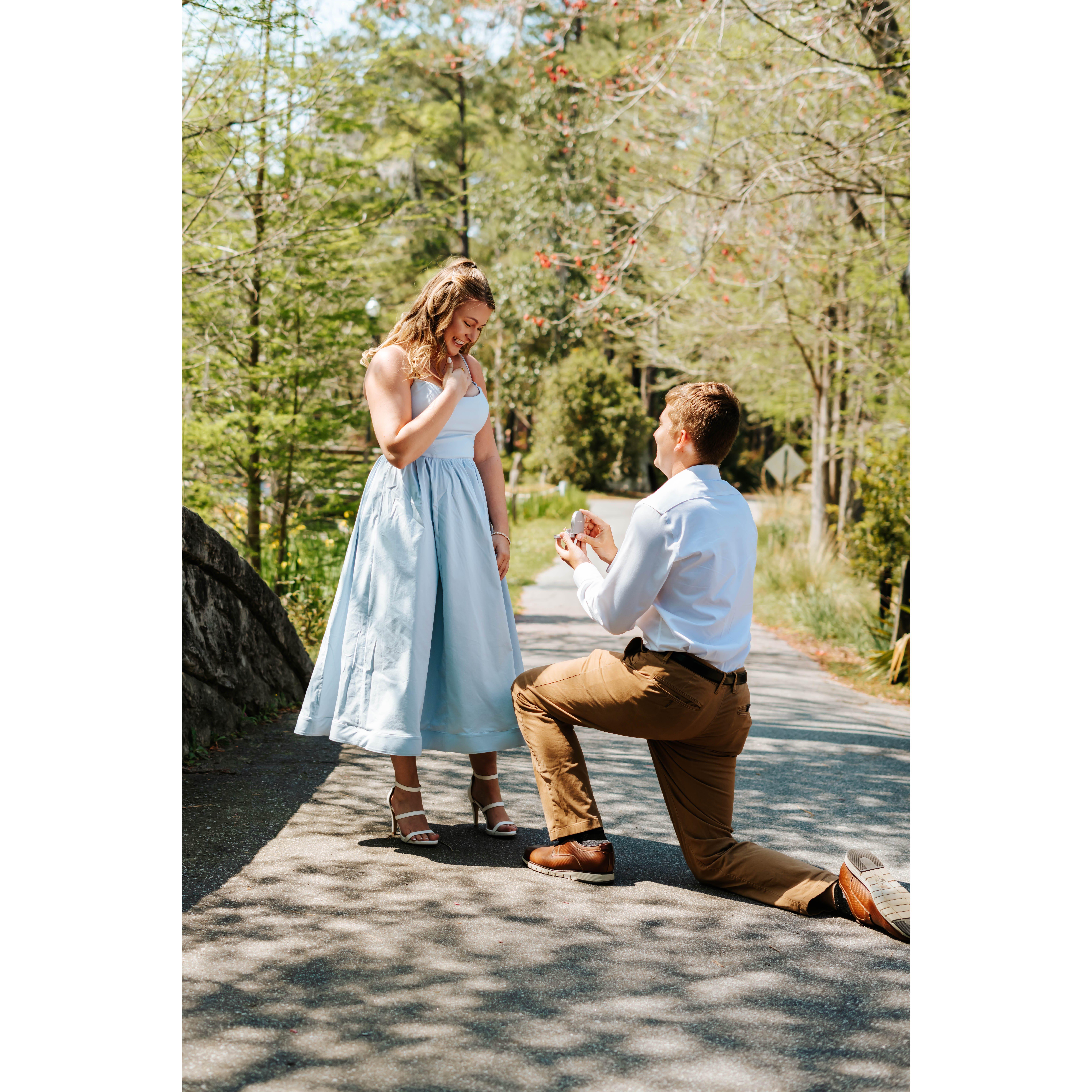 Engaged on March 21, 2024 in Charleston, SC at Cypress Gardens