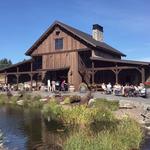Tumwater Vineyard