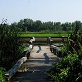 Richard Bong State Recreation Area