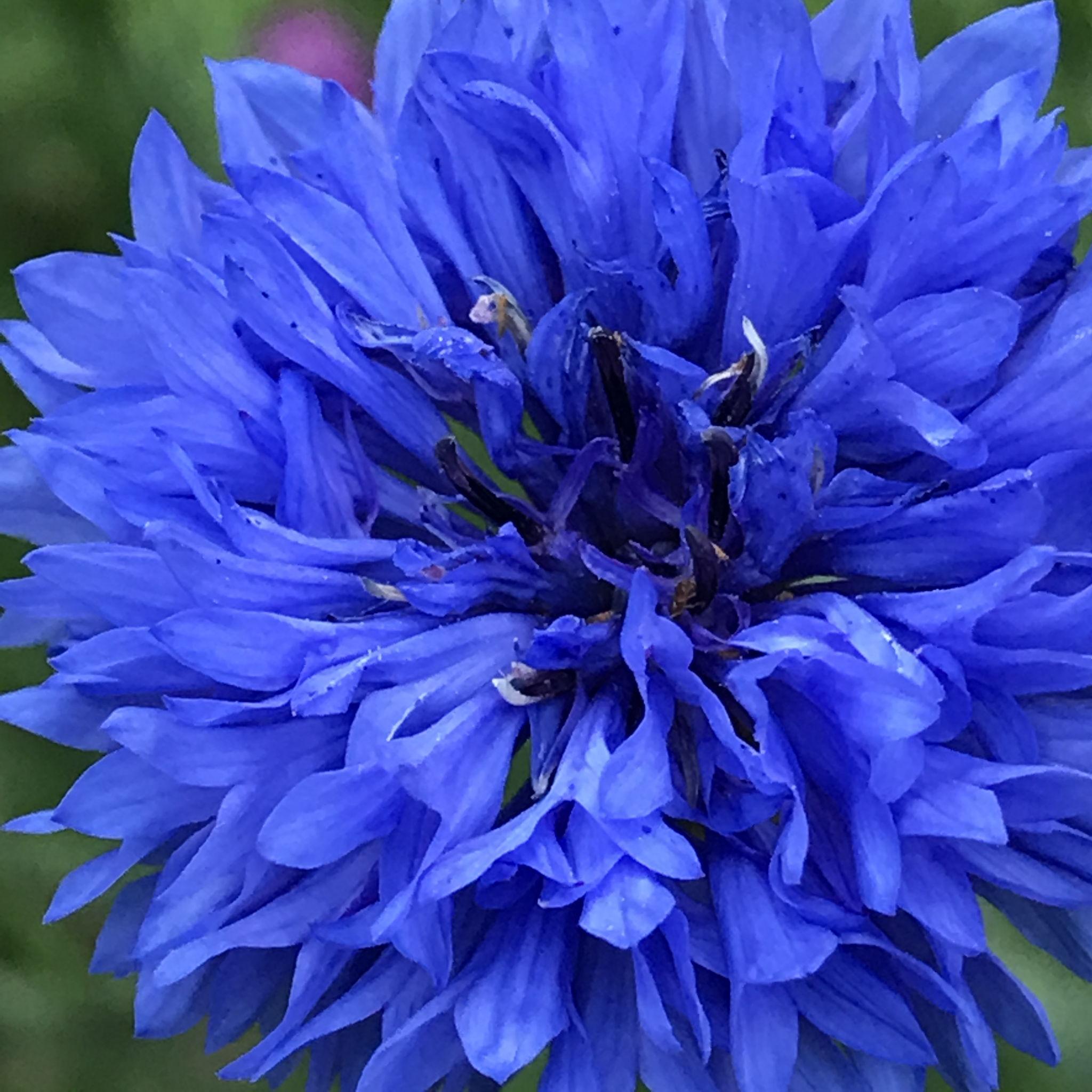 9a2a0990-8b07-4702-b14c-404b1b730ebe