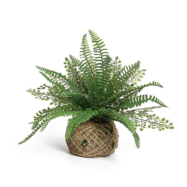 Blanca Rosana Artificial Boston Fern Plants Bushes Faux Plants Shrubs Greenery for House, Office, Garden, Inddor and Outdoor Decor (Small)