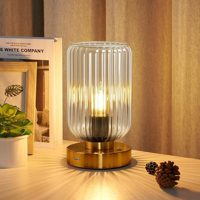 Touch Table Lamp for Nightstand - Small Bedside Lamps for Night Stands Bedroom Living Room, Dimmable Rechargeable Desk Lamp Battery Operated with Clear Glass Shade, Bulb Included