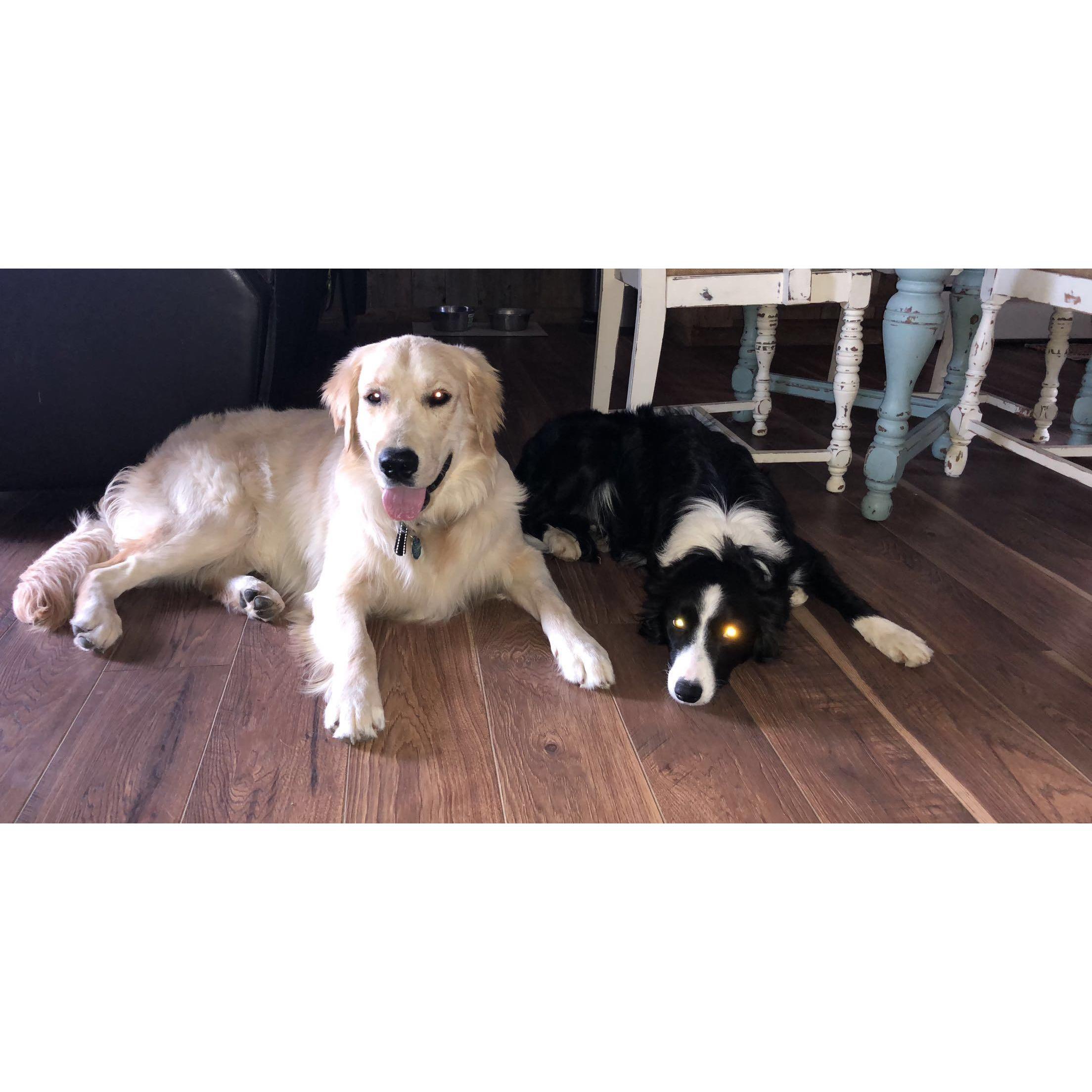 Our babies!