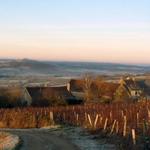 Domaine La Croix Montjoie