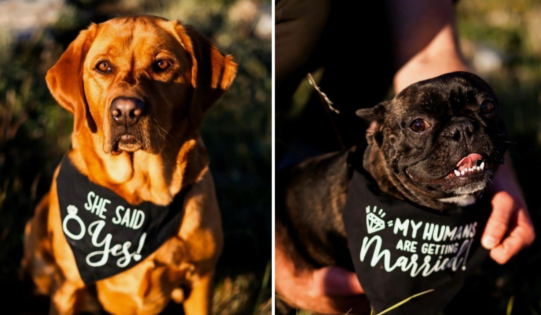 The Wedding Website of Molly Pomeroy and Ricky Enright