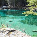 Grassi Lakes