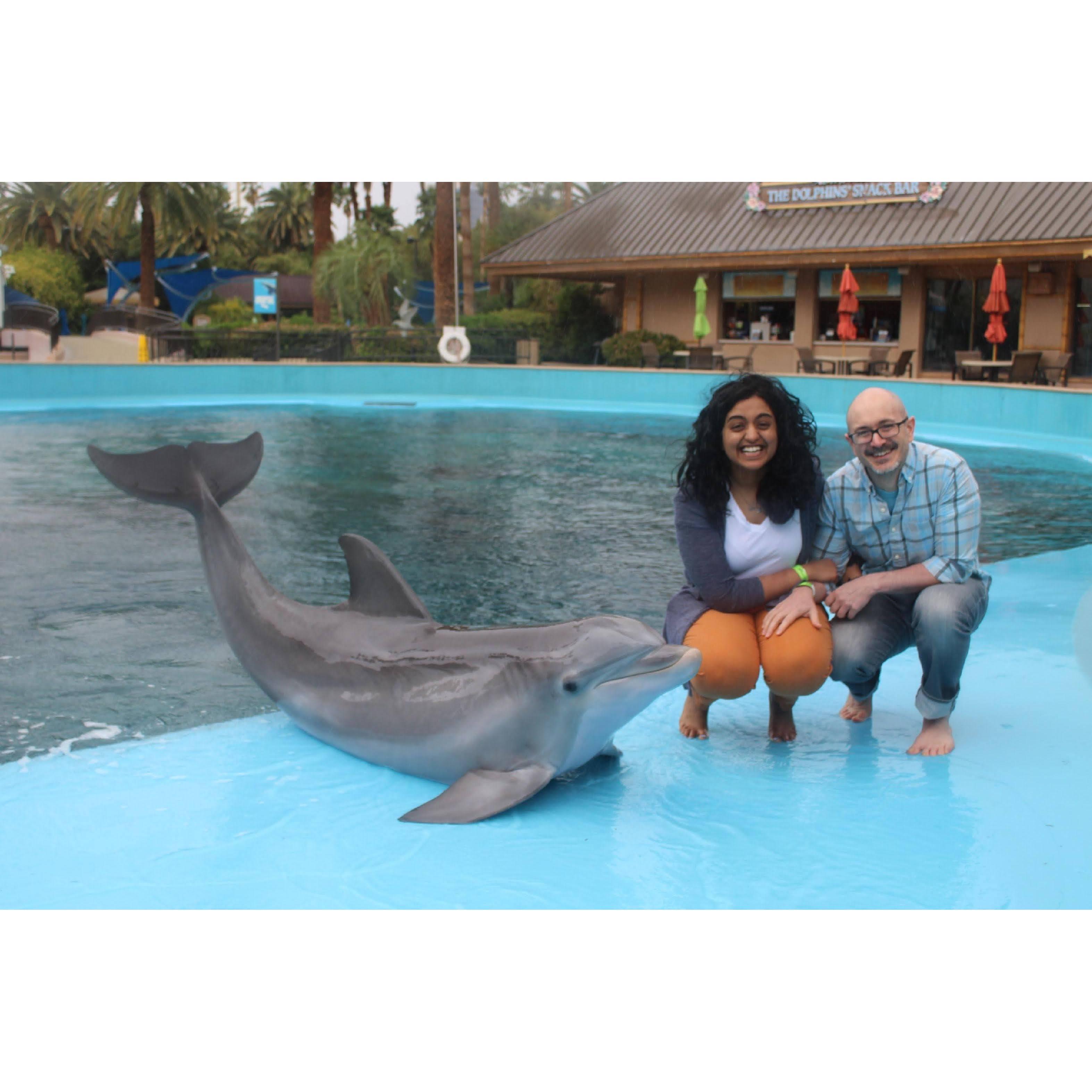 Our favorite picture of us. Meet Coco the dolphin!