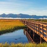 Potter Marsh Bird Sanctuary