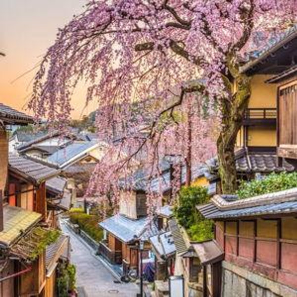 Honeymoon Fund (Venmo)