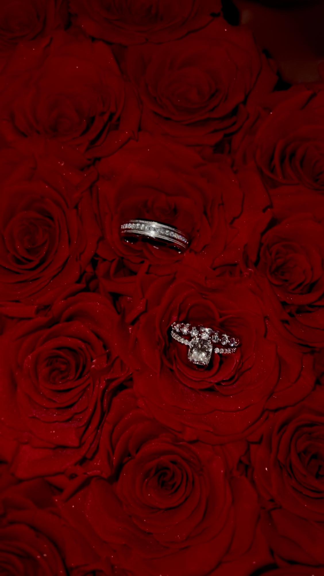 💍✨🤍