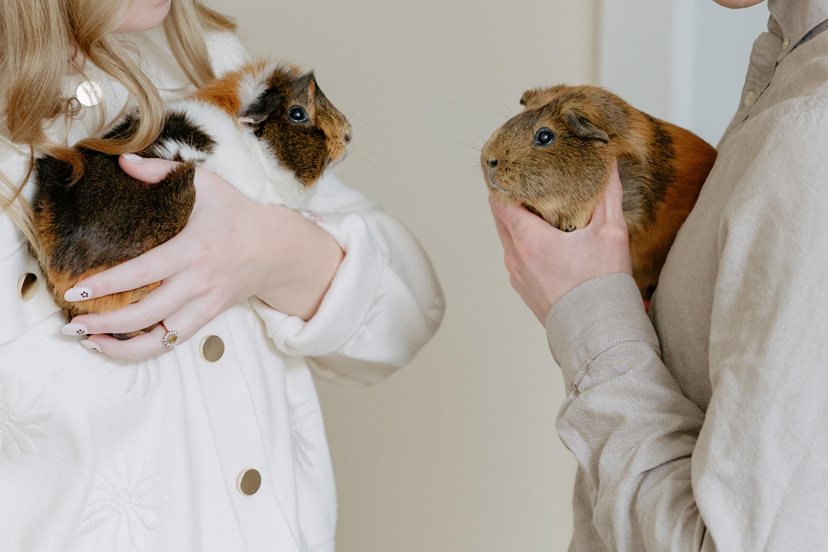 The Wedding Website of Eva Waltz and Josh Greenwalt