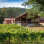 Bear Claw Vineyards & Winery, Inc.