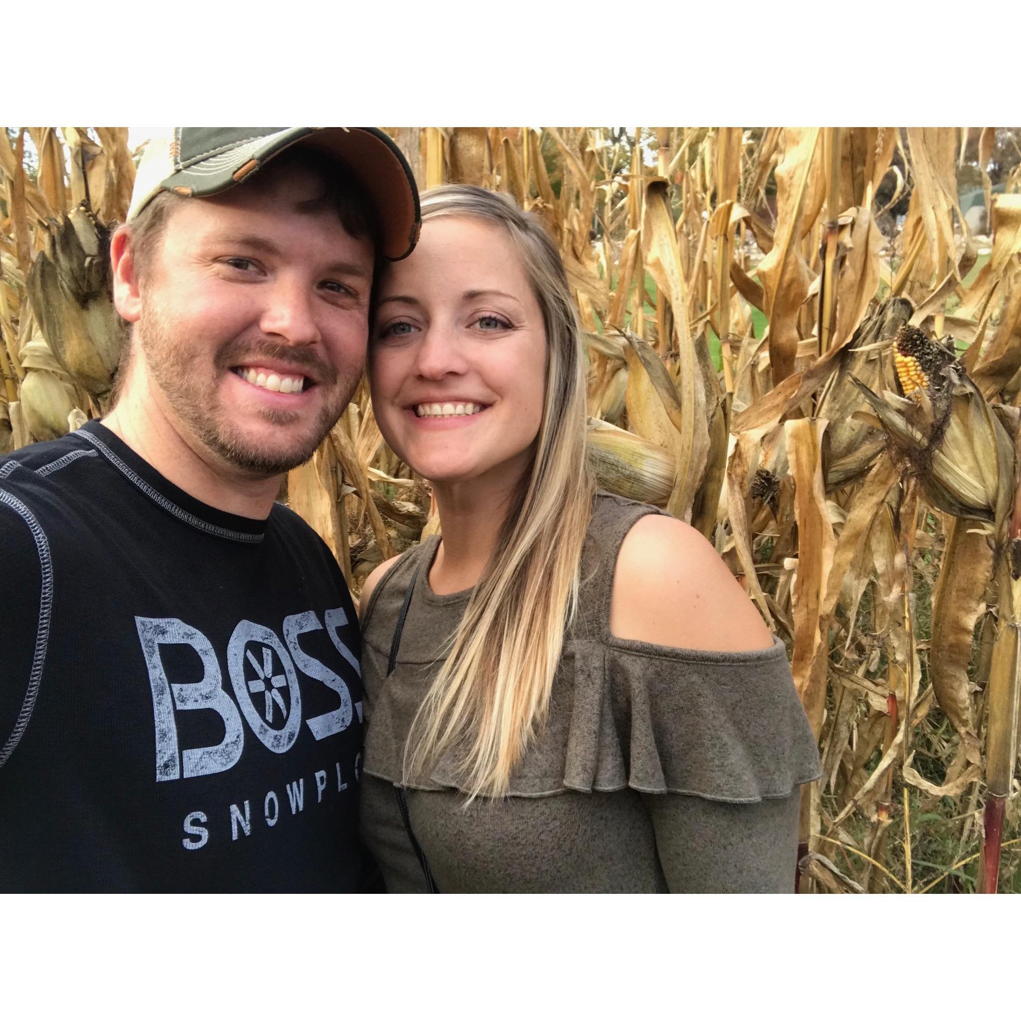 Corn Maze!