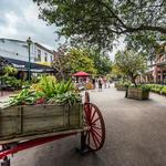 City Market