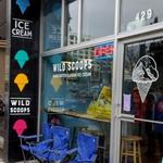 Wild Scoops