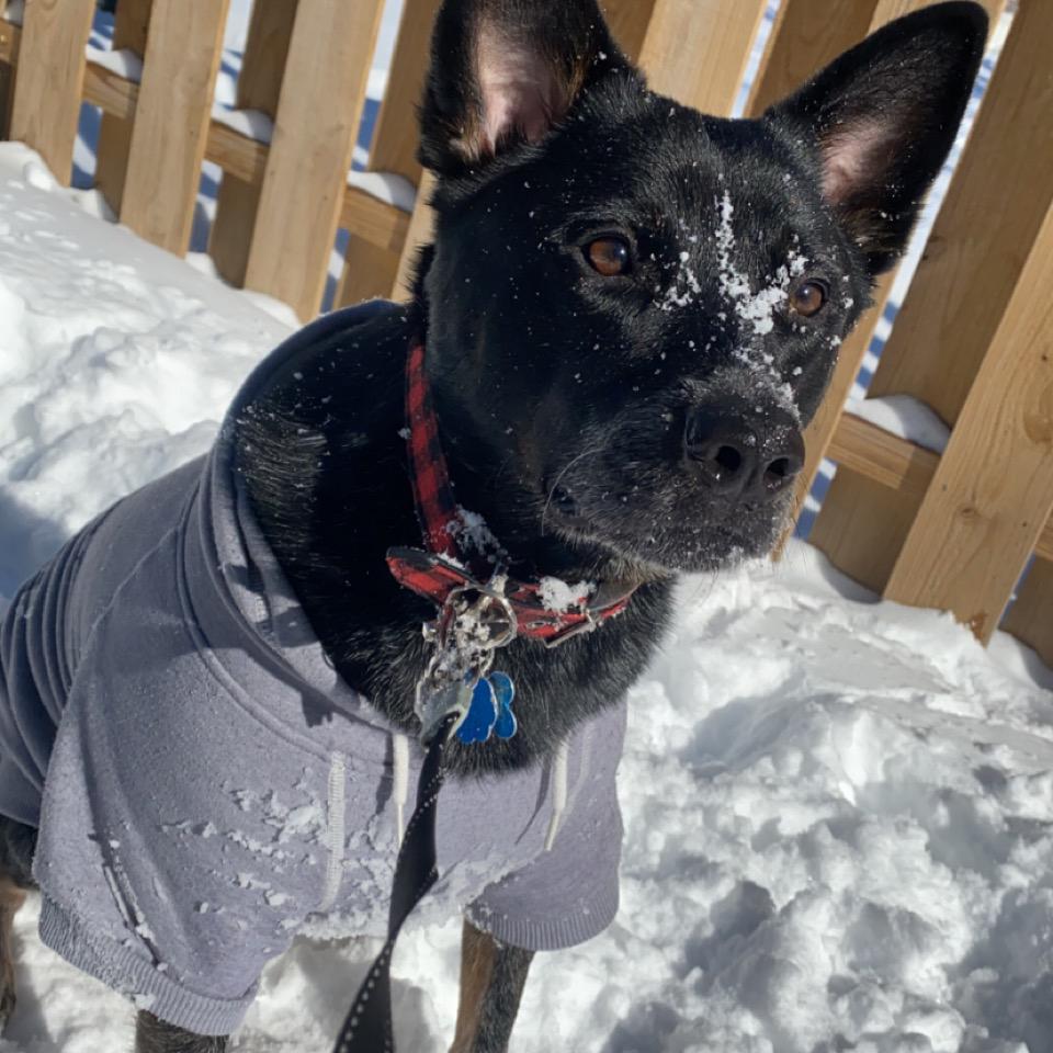 Our baby LOVES the snow