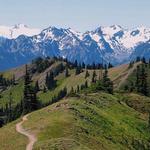 Hurricane Ridge: Olympic National Park