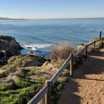 Torrey Pines State Natural Reserve