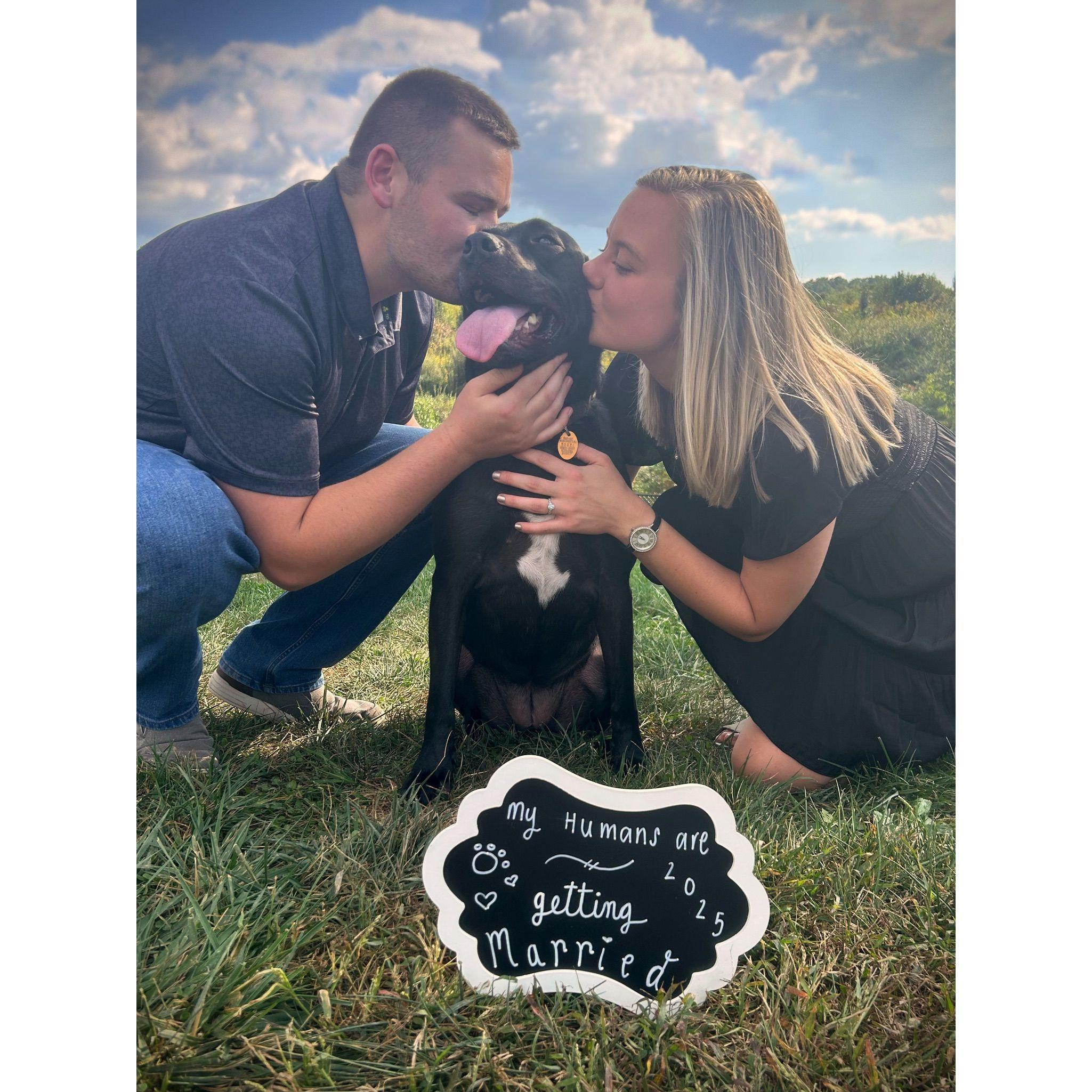 Emma's sister, Sarah, came to visit and take some engagement photos. Of course Revia had to be included!