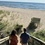 Olive Shores