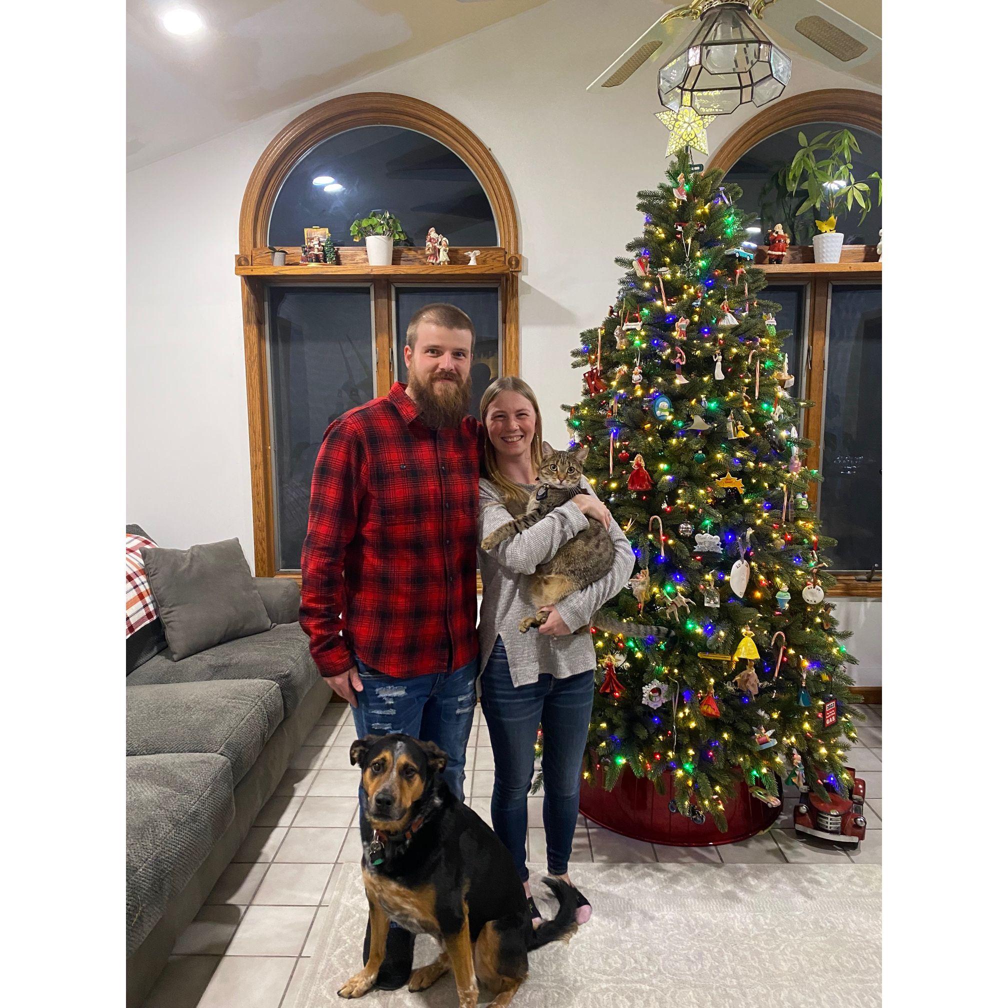 Family Christmas 2023! Xander and Ollie actually looked at the camera on their own,