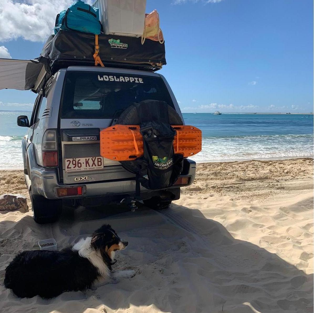 Our first road trip, before we were officially a couple. This moment also caused us a hefty fine cause dogs weren't allowed on the beach. Oops!