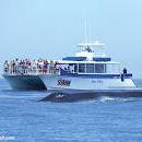 Dana Wharf Sportfishing & Whale Watching