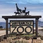 San Francisco Zoo