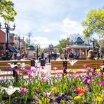 Pearl Street Mall