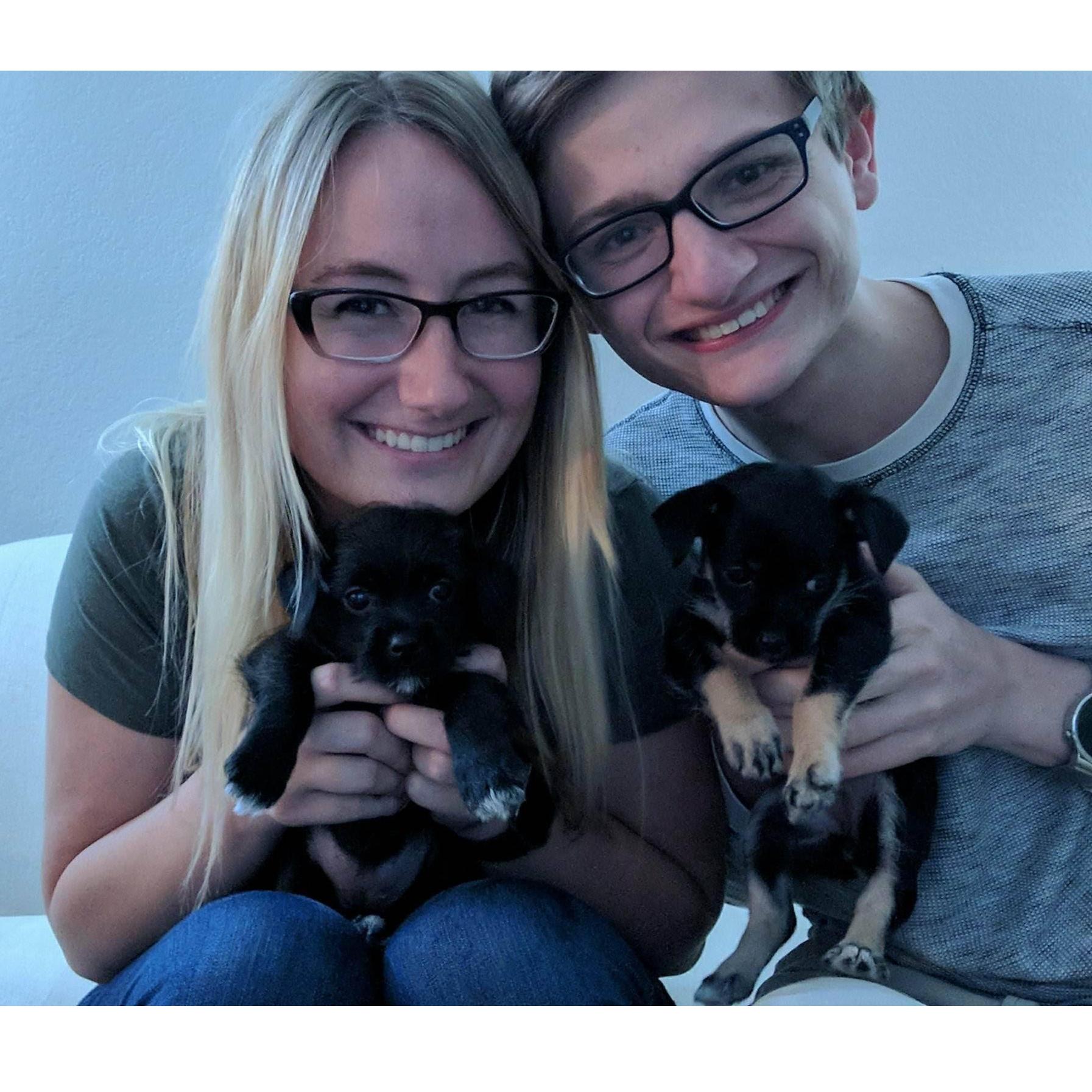 When we first got the puppies in 2017. Leslie (left) and Phoebe (right).