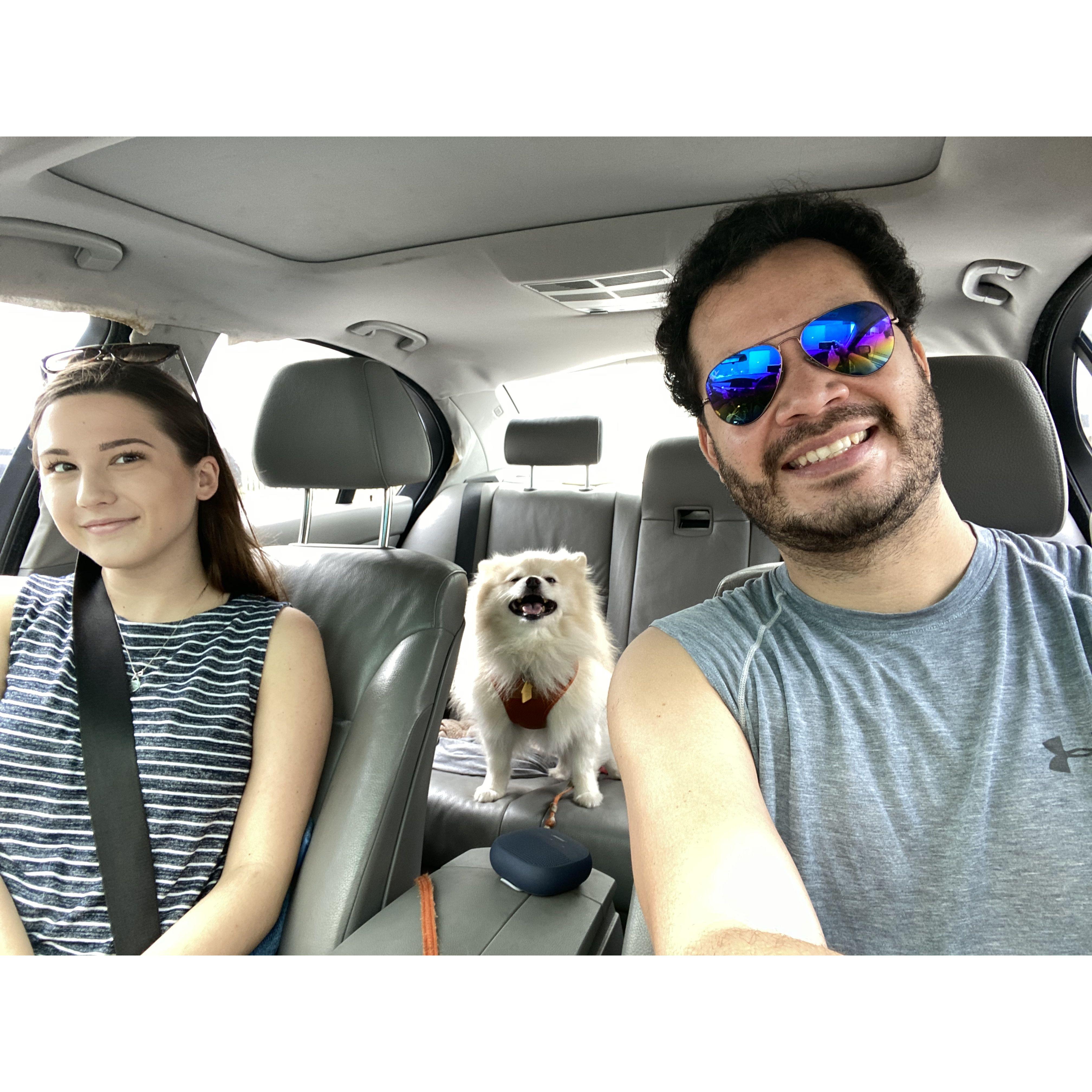 Road trip to Florida, 2020