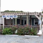 Corolla Wild Horse Tours