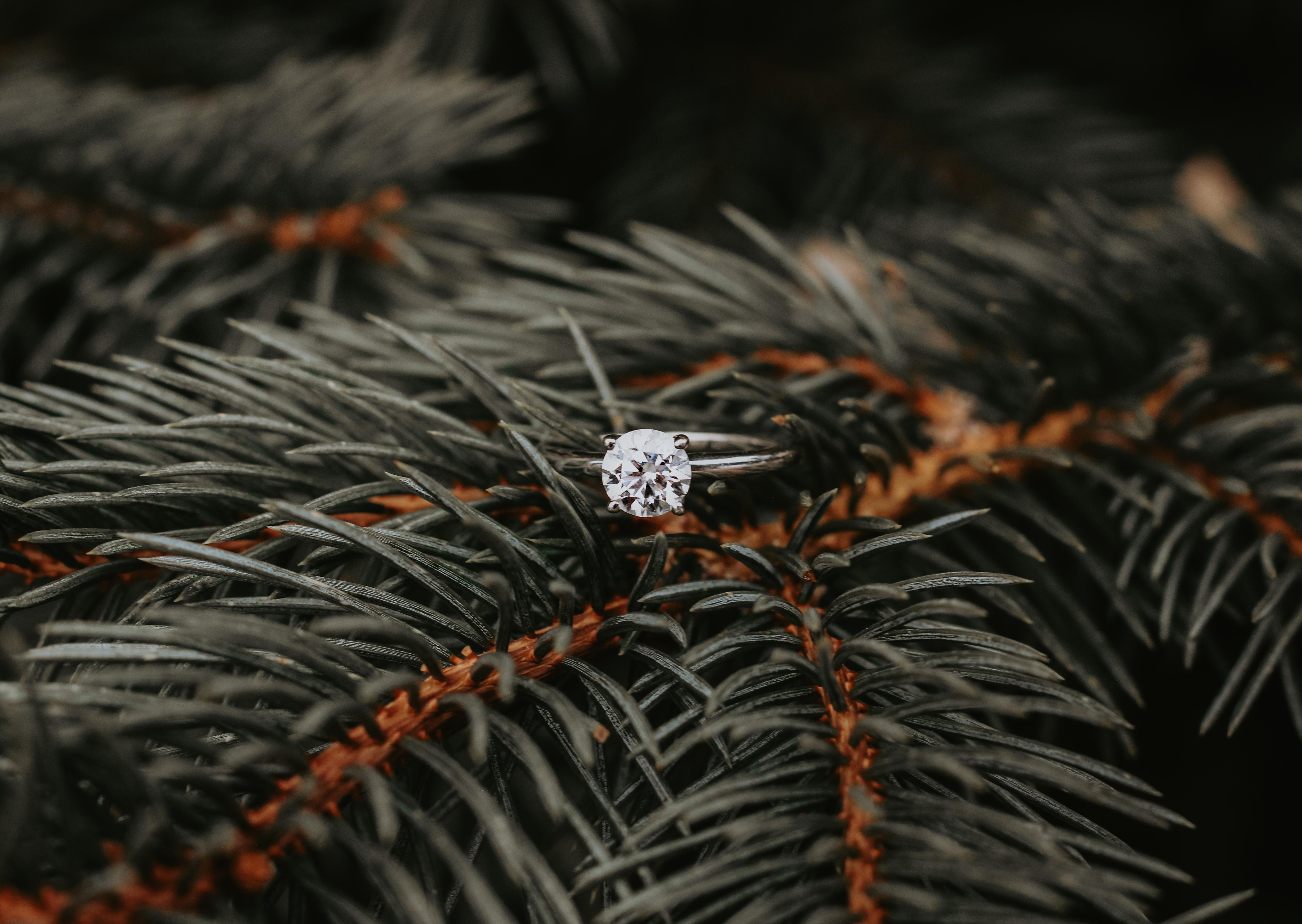 The Wedding Website of Derrick Winn and Kenzy Kellum