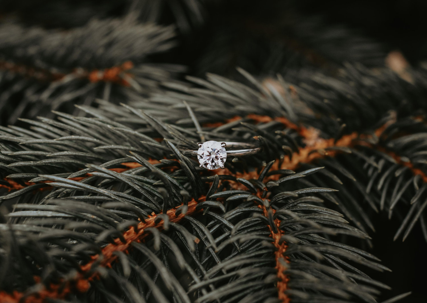 The Wedding Website of Derrick Winn and Kenzy Kellum