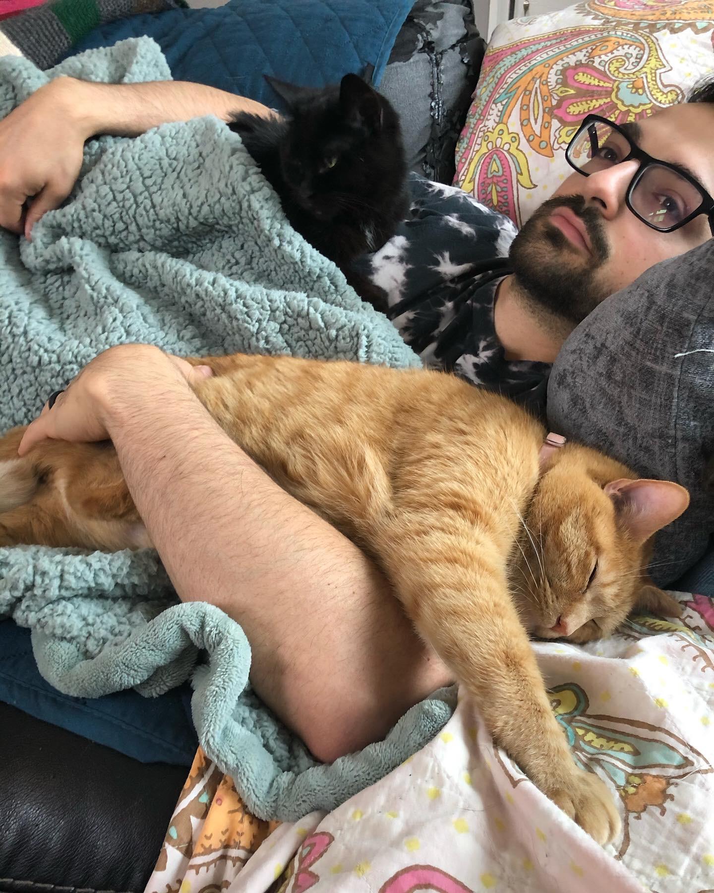 Fur babies