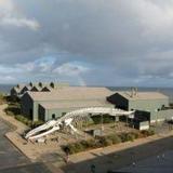 Seymour Marine Discovery Center