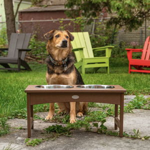 Pet Feeder