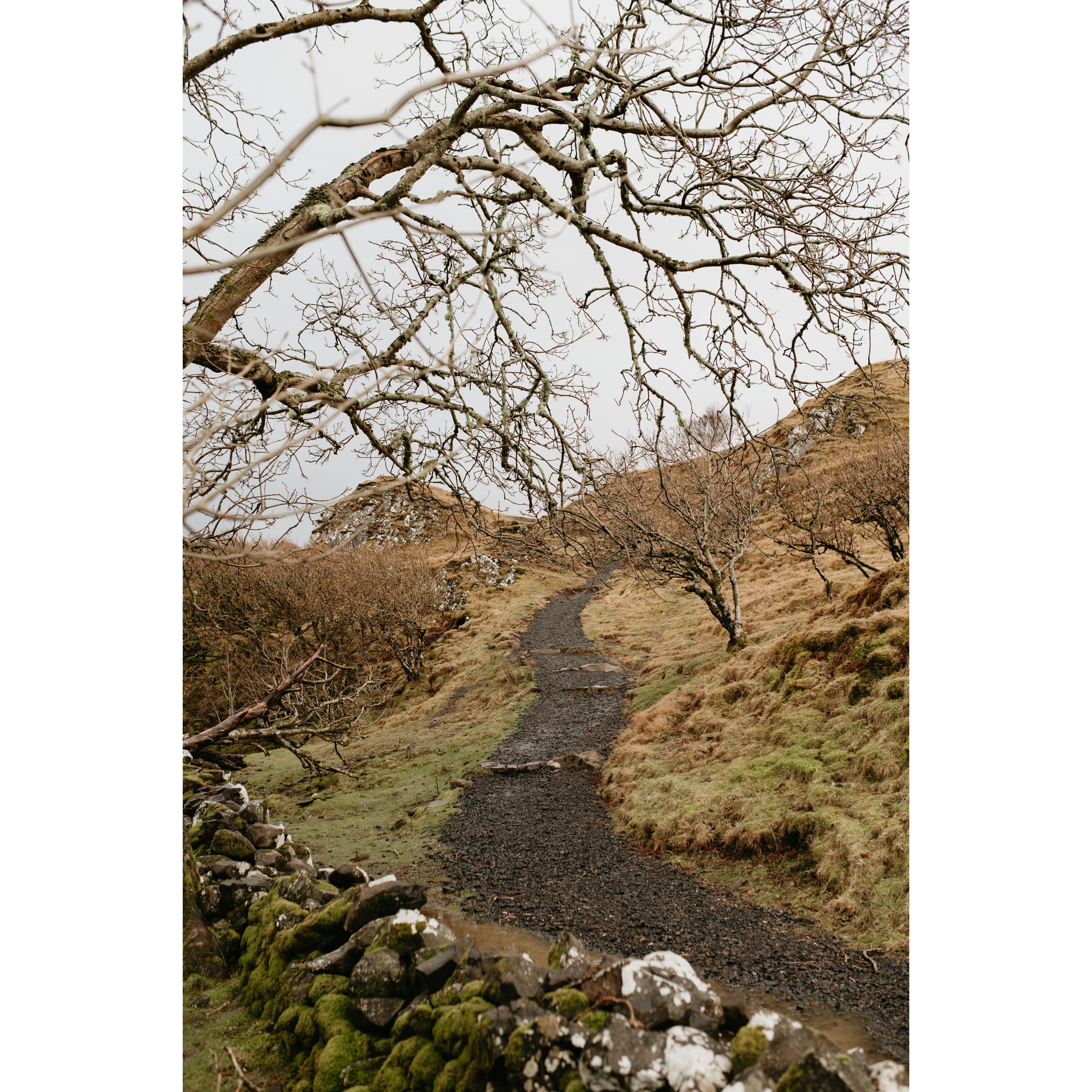 We knew there would be a walk to the Fairy Glen, where we had the ceremony, but we didn't realize the hike up would be as uphill as it was!